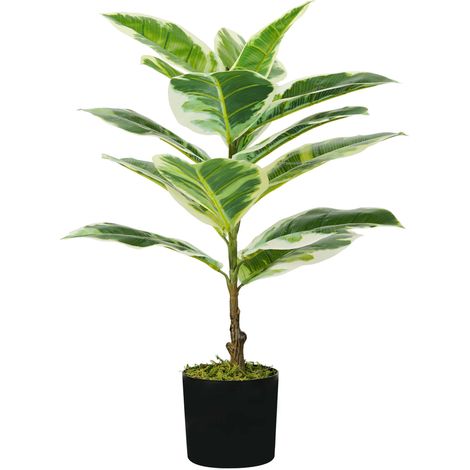 Pianta Artificiale Ficus Elastica H65 cm con Vaso Verde