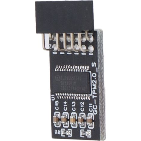 Module TPM 2.0 LPC SPI 12 broches carte de sécurité chiffrement à distance accessoire pour GIGABYTE (1/5)