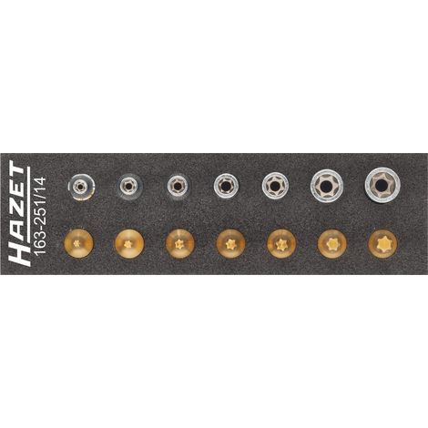 Jeu d'outils · TX 163-251/14 HAZET (1/4)
