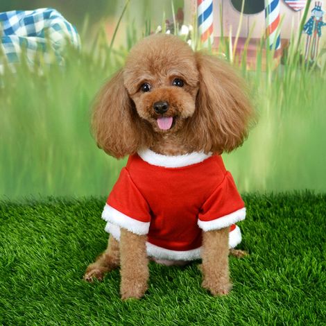 Costume de Noël pour animaux de compagnie (chiens et chats) avec motif LOVE en peluche rouge (1/5)