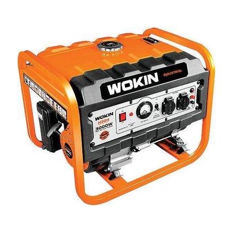 GENERATORE CORRENTE 791230 WOKIN