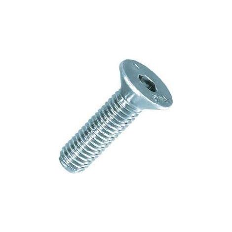 Friulsider 6 viti tpsei 20700008030f2