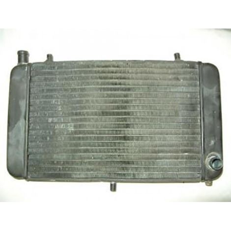 [PRODUIT D'OCCASION] Radiateur de refroidissement origine pour moto Aprilia 125 AF1