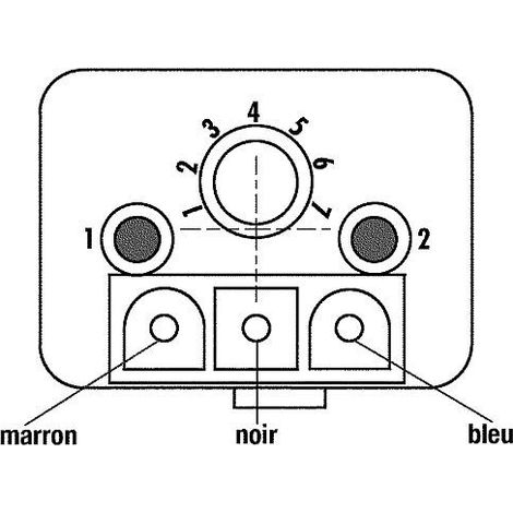 Satronic IRD1010 fioul bleu Axial