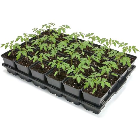Garronda Kit de Semis Plateau 24 Trous avec Godets Carrés 0,5 L - Plateau de Semis Plastique PP Réutilisable Serre Jardin Intérieur Extérieur Horticulture Repiquage Culture Plantation GD-0208 Noir