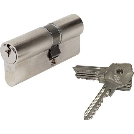 Cylindre de Securite Bricard Alpha 30x40mm Profil Europeen Anti-Crochetage Anti-Percage 5 clés