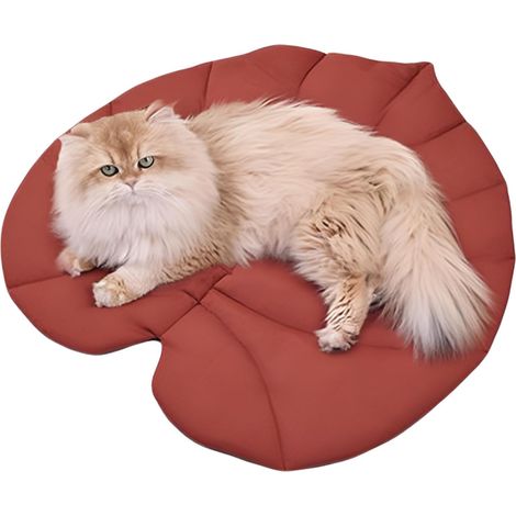 de Canap pour Chien Couverture pour Animaux en Forme de (1/5)