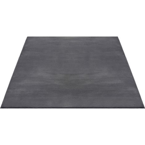 FLOORNOVO Hochflor Teppich Grau einfarbig - 220 x 160 cm - Besonders Weicher Teppich Wohnzimmer & Badezimmerteppich - Pflegeleicht - vielseitig einsetzbar im Innenbereich (1/2)