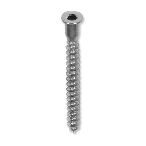 Tornillos Allen Ø5 - 50mm / Cincado (1/3)