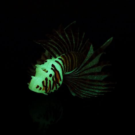 Décoration d'aquarium avec de faux poissons lumineux, animaux simulés violets