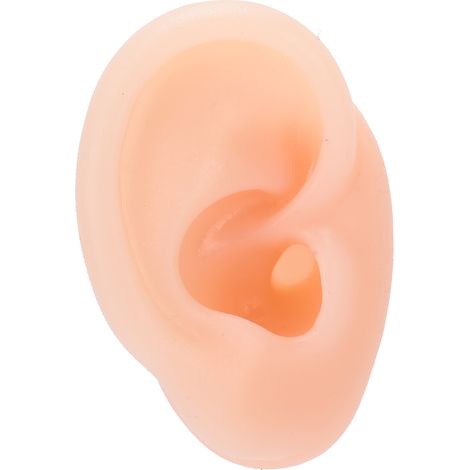 Modèle d'oreille humaine droite en silicone, simulation réaliste pour l'entraînement au port d'aides auditives (1/5)