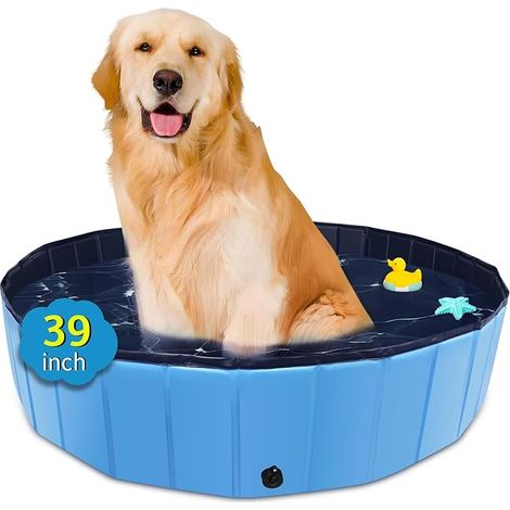 Piscine Pliable surdimensionnée en Plastique Dur Portable pour Chiens, Chats et Enfants, Animaux domestiques, Chiot - 100 x 30 cm - Bleu