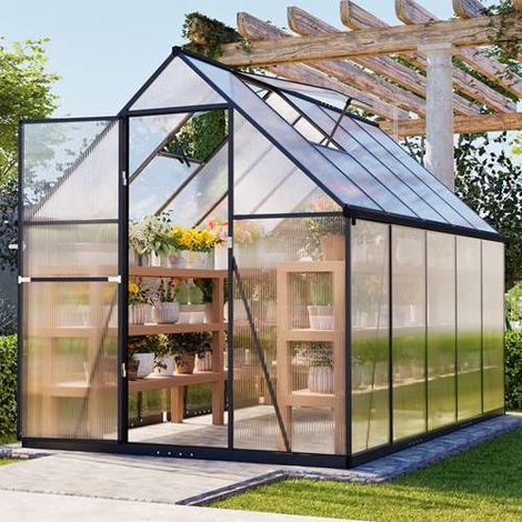 BIRCHTREE 6X10FT Polycarbonate Greenhouse Walk-In Green House Aluminium Frame (1/5)