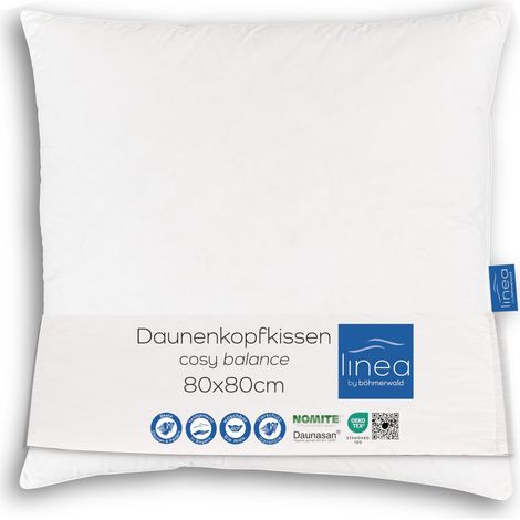 Oreiller Équilibré, 80 x 80 cm, 70% Plumes de Classe 1, 30% Duvet Douillet Neuf, Convient aux Personnes Allergiques, Lavable à 60 °C, Fabriqué en Allemagne (1/5)