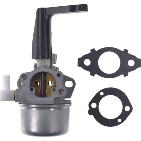 JRL 696065 Carburateur de remplacement avec kit de joint pour Briggs & Stratton (1/4)