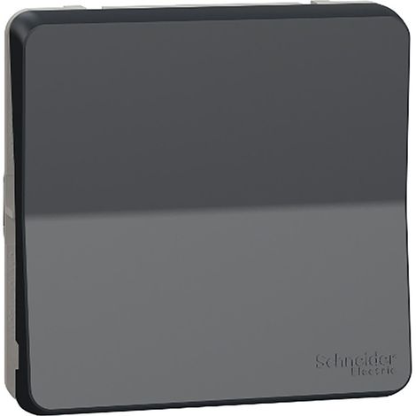 Schneider Electric MUR37021 Va et Vient GRIS COMPOSABLE MUREVA STYL (1/7)