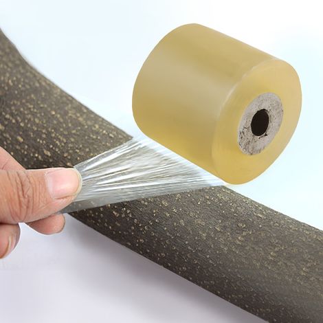 rouleau de ruban adhésif flexible et extensible transparent pour greffage, idéal pour le jardin (5 cm). (1/5)