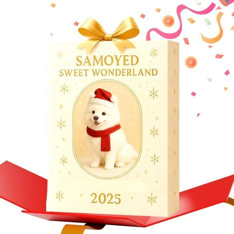 Décoration de Noël Avent, pendentifs mignons 2D en acrylique - Calendrier de l'Avent de Noël 24 jours - Pour rétroviseur de voiture, salle de classe, comme remplisseur de bas et (1/5)