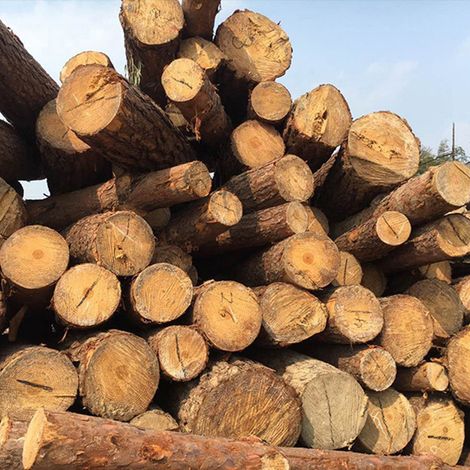 Mehrstufiger Pflanzenständer aus Holz, Blumenregal für Wohnzimmer, Balkon, Terrasse, Garten, schlichter Stil (1/4)