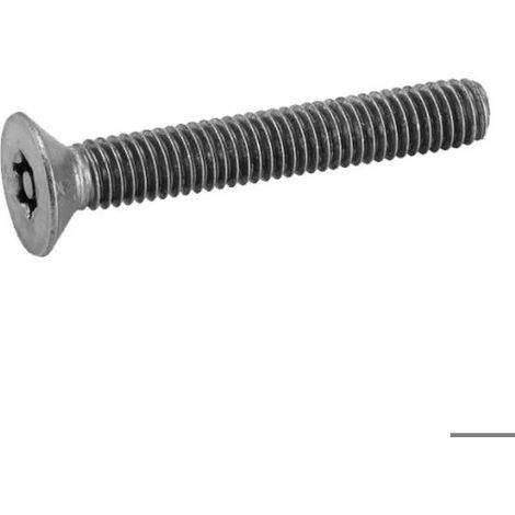Acton Viti Torx DIN 7991 in acciaio inossidabile 4x50 mm confezione 100
