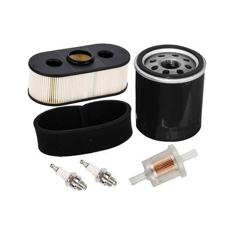 11013-7031 Air filter with pre-filter 49019-0027 Fuel filter 49065-7010 Oil filter and spark plugs. (1/3)