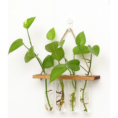 Jardinière hydroponique en verre à suspendre, tubes de propagation en verre, station de propagation murale avec 4 tubes à essai, terrarium pour plantes hydroponiques avec cadre en bois, 4 tubes à (1/5)