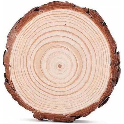 12PCS Tranches de Bois Naturel 10 11cm Épaisseur de 10mm, Rondelle Rond en Bois Rustique pour Artisanat Bricolage Décoration Murale (1/5)