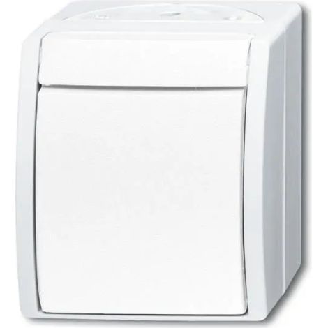 Interruttore busch-jaeger 2601/7 w-54 10 A 250 V