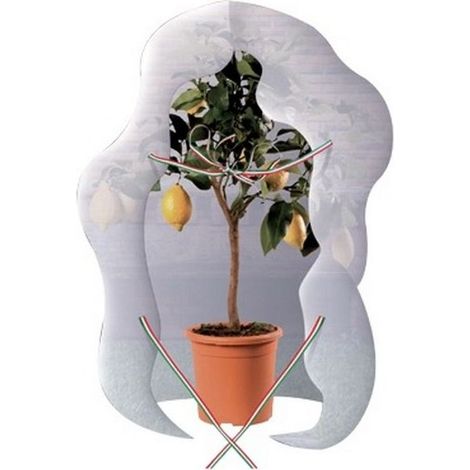 TELO ANTIGELO PROTEZIONE PER ORTAGGI T.N.T.BRIXO AGRITHERMO MANTELLO 320X160CM