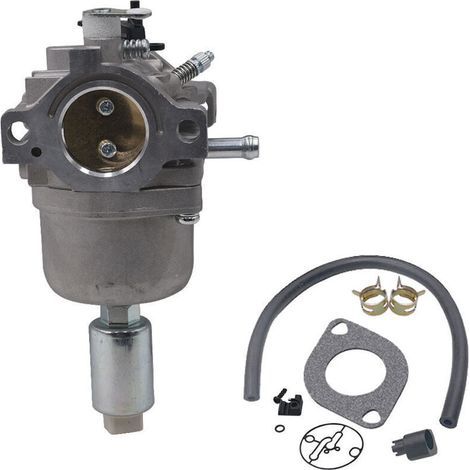 Carburateur pour Moteurs Briggs & Stratton 287707 287776 287777 310707 310777 698620 690194 791886 799727 496796 499153 695412 792768 Remplacement du carburateur (1/4)