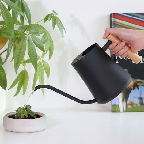 Regadera de metal y madera con boquilla larga para plantas de interior, suculentas y bonsáis, 1 litro, negro mate. (1/5)