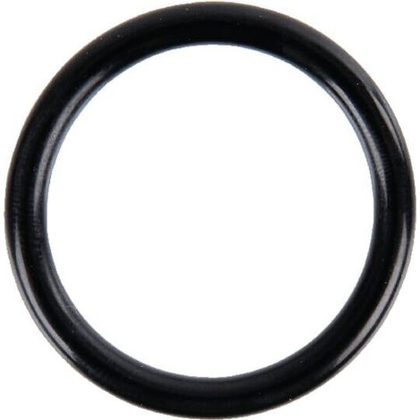 Junta t贸rica di谩metro31,50 X 4,25 Amazone AMAZONE FC261