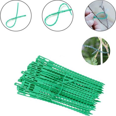 50 ataduras ajustables para plantas (17 cm) – Dispositivos reutilizables para fijar plantas – Herramienta de jardinería para plantas trepadoras – Enredaderas y tallos de tomate – Jardines (1/5)
