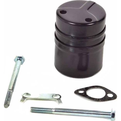 Silenziatore  Motore Tecumseh TNT 100/120 vers. TORO-300012