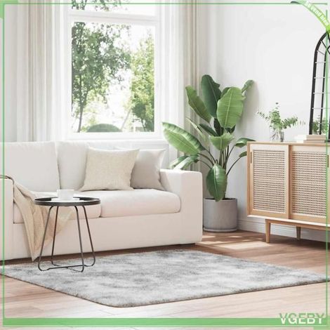 4102876 Tapis Shaggy à poils longs NAVARRA gris argenté 160x160 cm (1/5)