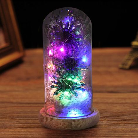 Dôme en Verre avec Fleur Artificielle LED Tournesol pour Cadeau Fête des Mères Saint-Valentin (1/5)