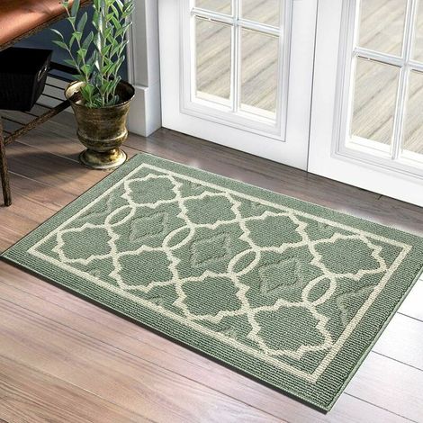 Dust Proof Door Mat, Indoor and Outdoor Anti-Slip Dirty Door Mat, Super Absorbent Floor Mat, Machine Washable Door Mat (Green, 50 x 80 cm) (1/5)