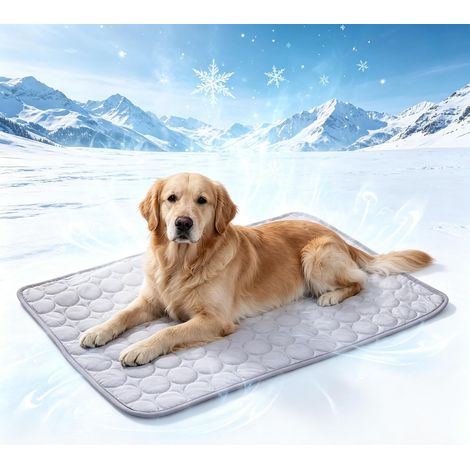 Tapis Rafraîchissant pour Chien et Chat, Coussin de Refroidissement Lavable sans Gel, Couverture Respirante en Soie Glacée pour Animaux, Lit d'été Auto-Rafraîchissant pour Auto Sofa (1/5)