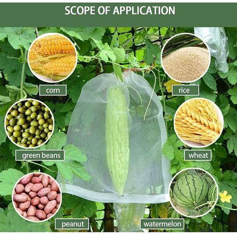 Lot de 100 sacs de protection pour fruits – Filet anti-insectes pour arbres fruitiers – Sacs en maille avec cordon de serrage pour protéger les tomates, raisins, mangues (25,4 x 15,2 cm) (1/3)