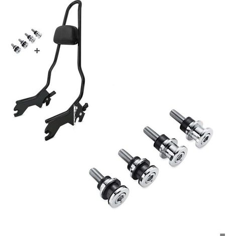 Set SissyBar + Installationskit S20
