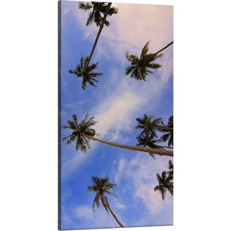 Leinwanddruck Natur Kokospalmen 60x120 cm