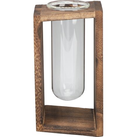 Terrarium en verre pour plantes, en forme de tube à essai. Terrarium de bureau multifonctionnel, innovant et fabriqué à la main, pour plantes hydroponiques. Grille en carbone. (1/5)