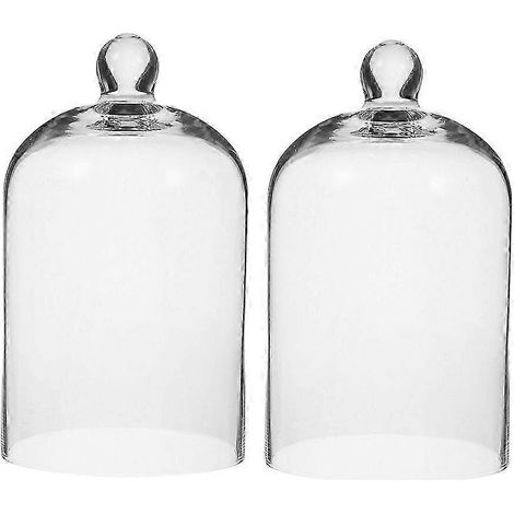 Lot de 2 cloches en verre transparentes pour fleurs éternelles stabilisées (1/4)