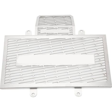 Grille de radiateur antirouille de remplacement pour moto KAWASAKI Versys 250/300 X250/X300 2017+ (Argent) (1/5)