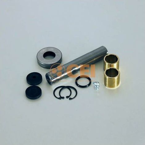 Kit de réparation pivot Renault Mascott 7485116241, 5000351583, 5005097022, 7420844699