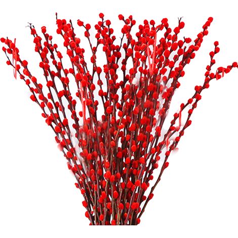 Bouquets de Saule Séché - 40 Branches Naturelles Déco Salon Plante Hydroponique Rouge et Argenté 40cm (1/5)