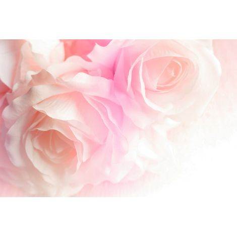 Papier peint panoramique - Roses - 130 cm x 87 cm (1/2)