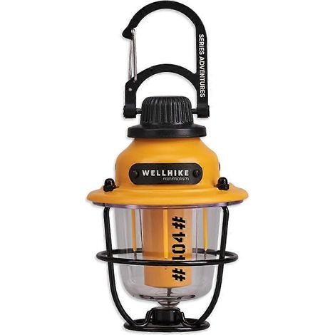Lampe de camping LED rechargeable WELLHIKE, lampe suspendue pour tente, lanterne portable à intensité variable, lampe torche décorative d'extérieur B (1/5)