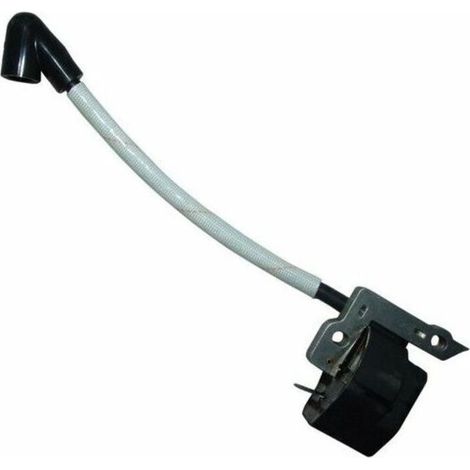 Bobine allumage débroussailleuse et taille haie Stihl (1/3)