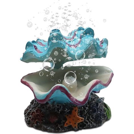Décoration coquillage pour aquarium, palourde tropicale vivante, pour l'aération et l'oxygénation de l'aquarium (1/5)